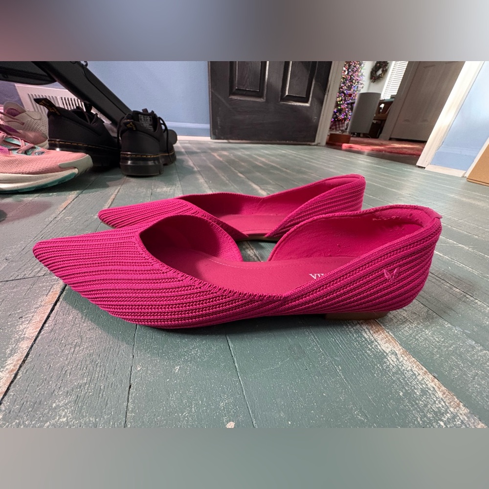 Vivaia pointed flats never worn